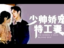 少帅娇宠特工妻